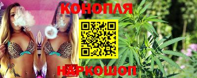гашик Бийск