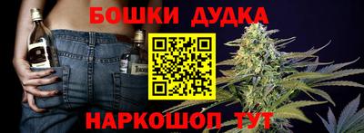 гашик Бийск