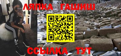 гашик Бийск
