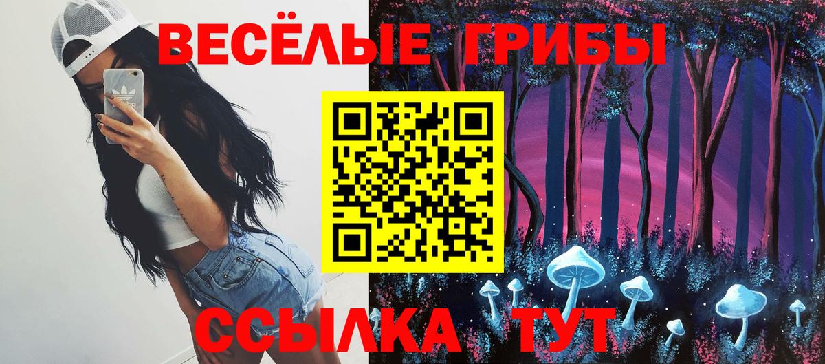 Псилоцибиновые грибы Cubensis  Вход с VPN  Ишимбай 